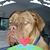 Sharon Kelly's profile image
