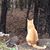 Diane Burgess Kerekes's profile image