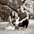 Alison Hulsey Lollar's profile image