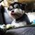 Maggie Lee's profile image