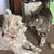 Becki Howitt's profile image