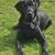 Christy Feddersen's profile image