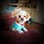 Susan Seykora's profile image