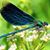 Sandra Wright's profile image