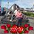 Liliana Peña Calderon's profile image