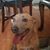 Lani Soliman's profile image