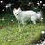 Pam Mayberry's profile image