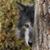 Robin Onsa's profile image