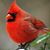 Stacy Wilson's profile image