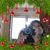 Sherry Conley Bay's profile image