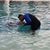 Fuad Aktar's profile image