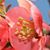 Michal Manley Trexler's profile image