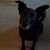 Tim Fennell's profile image