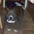 Terry Rynders's profile image