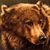 Andrea Kubes Larson's profile image