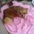 Carrie White's profile image