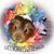 Lucy Stead's profile image