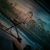 Yarnell Allred's profile image
