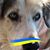 Vera Terkun's profile image