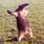 Tracy Johnson's profile image