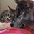 Patti Ingram's profile image