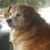 Christine Carabetta's profile image
