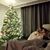 Kimberly Straub Bilodeau's profile image