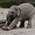 Linda Miles Snyder's profile image