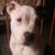 Barbara Drumm Moore's profile image