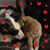 Marie Dohanich's profile image