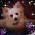 Linda D. Binion's profile image