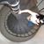 Caitlyn Crist's profile image