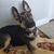 Candace Alyson Augsten's profile image