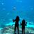 Charis Fliermans Smith's profile image