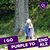Carol Collins's profile image