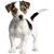 Teresa Wenske's profile image