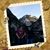 Marcie Roberson's profile image