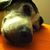 Shane Smith's profile image