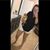 Brianna Cheyenne's profile image