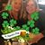 Maureen Walsh's profile image