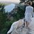 Michelle Levesque's profile image