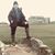 Kim Hamer Hulse's profile image