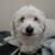 Karen Jean Schoenberger's profile image