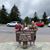 Stacy Lotz Huber's profile image