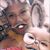 Luycia Italiano Vela's profile image