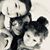 Bahar Kochar's profile image