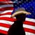 Donald P Tice's profile image