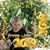 Heidi Lynne Williams's profile image