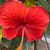 Wendy Johnson's profile image