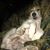 Emily Tordi's profile image